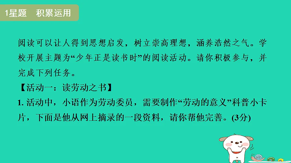 17365704第3页