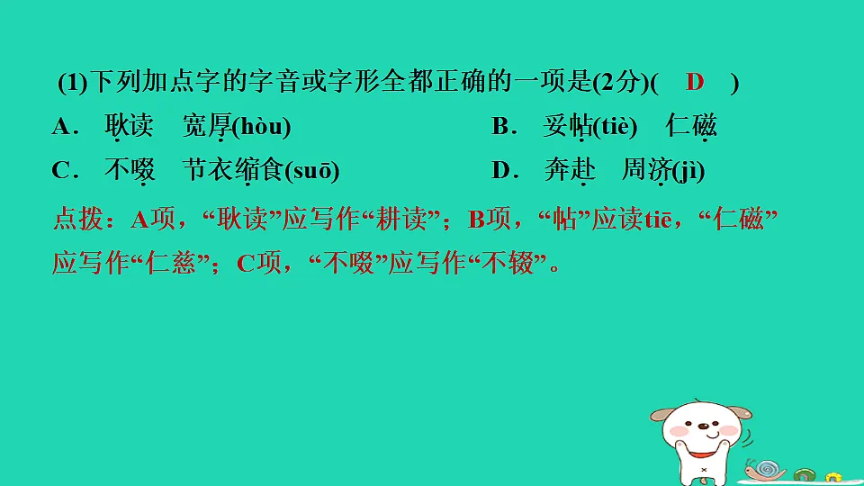 17365704第5页