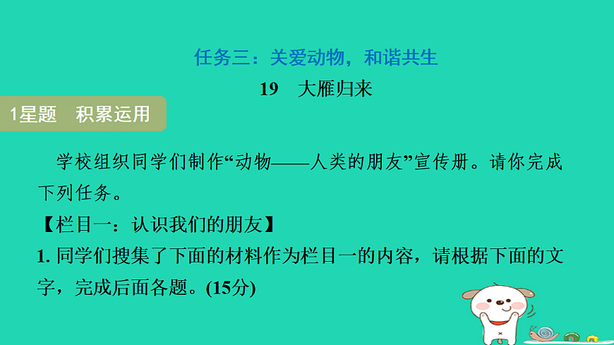 17365708第3页