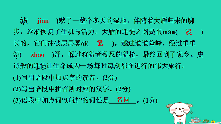 17365708第4页