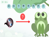 统编版二年级语文上册课件《1 小蝌蚪找妈妈》
