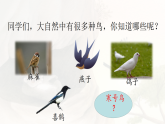 统编版二年级语文上册课件《12 寒号鸟》