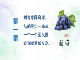 统编版二年级语文上册课件《10 葡萄沟》