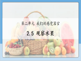 2.5 观察水果   课件 2025-2026小学科学一年级上册 人教鄂教版