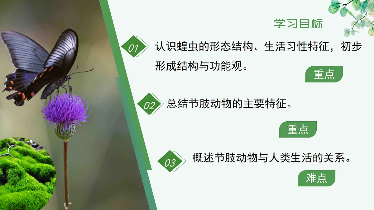 17366464第2页
