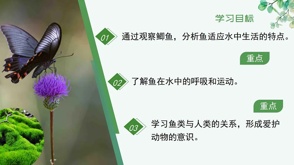 17366465第2页
