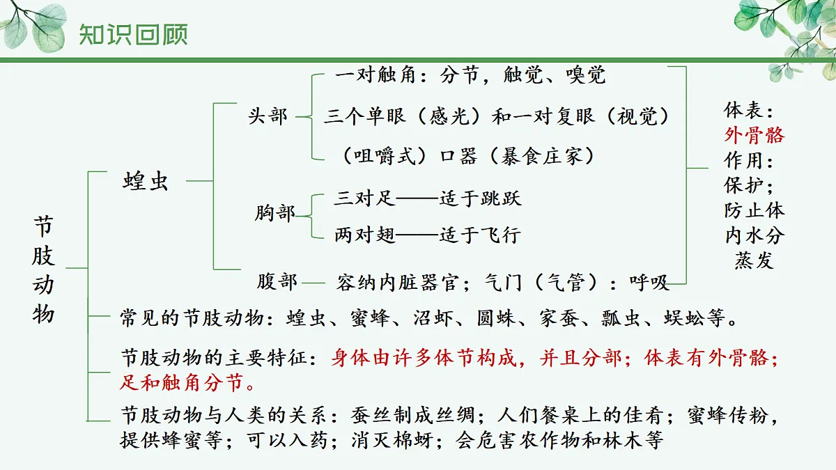 17366465第4页