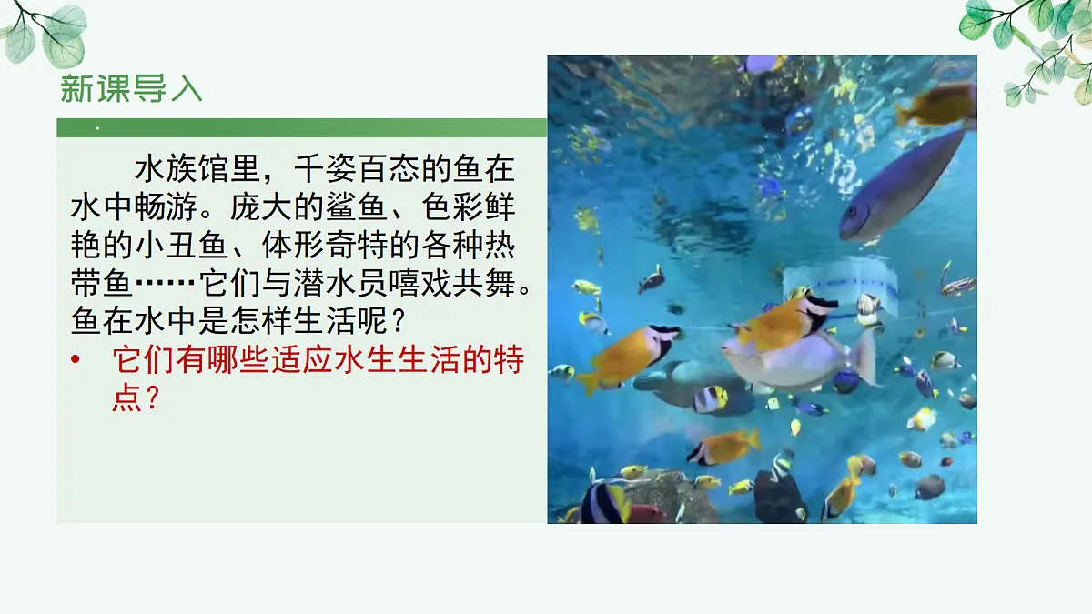 17366465第5页