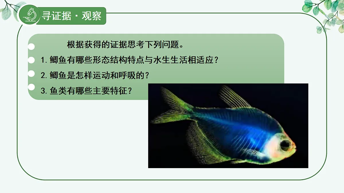 17366465第7页