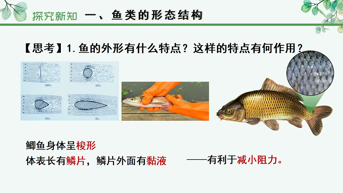 17366465第8页
