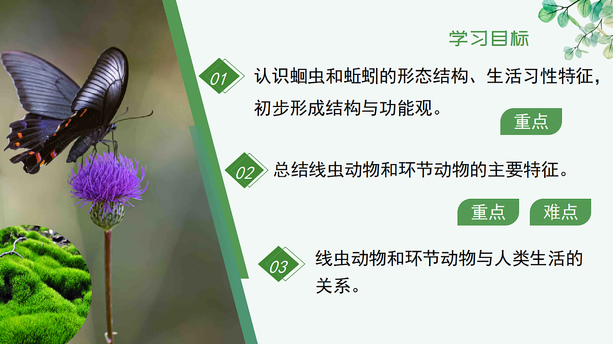17366466第2页