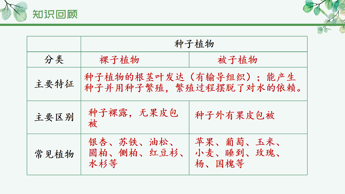 17366466第4页