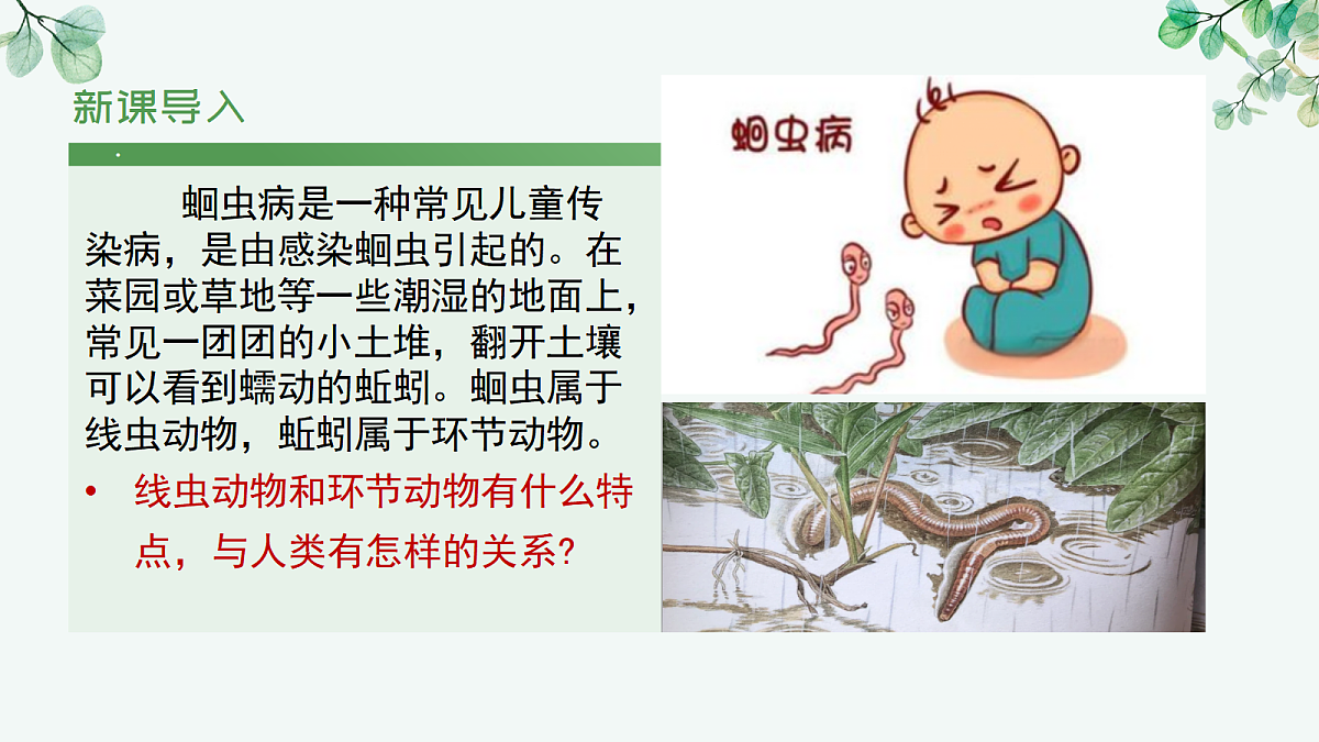 17366466第5页