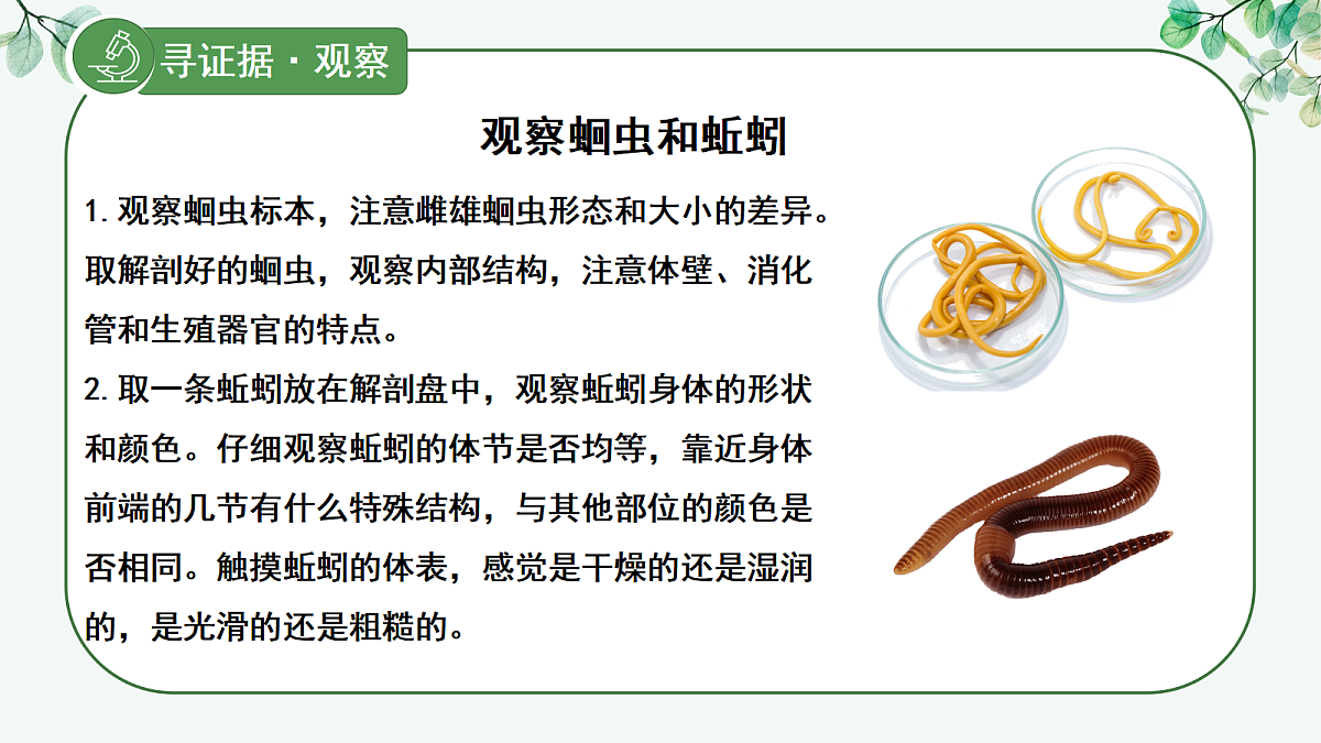 17366466第6页