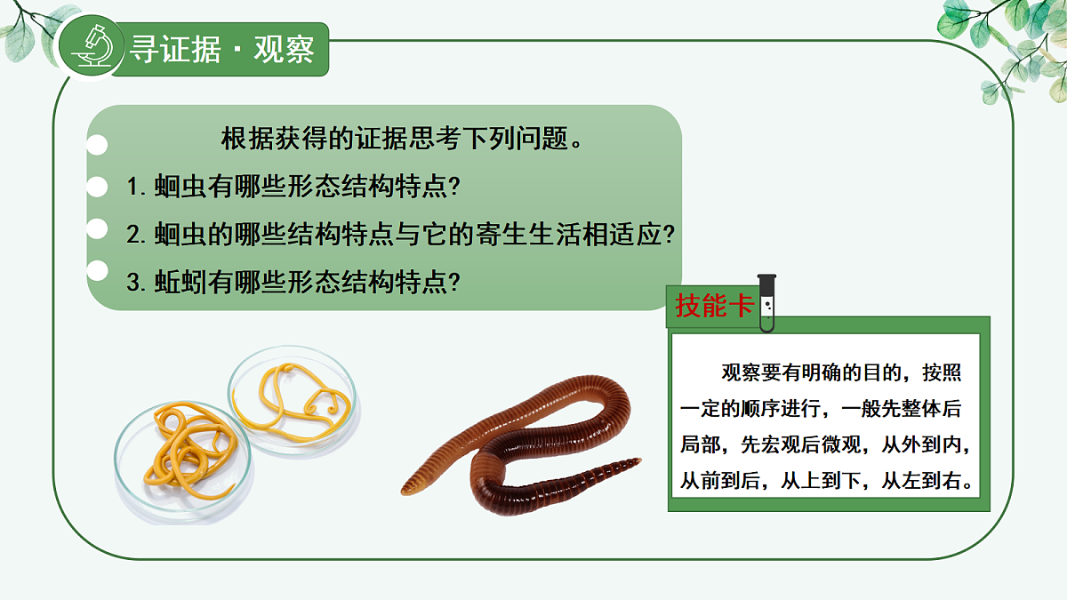 17366466第7页