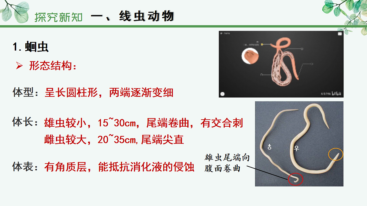 17366466第8页