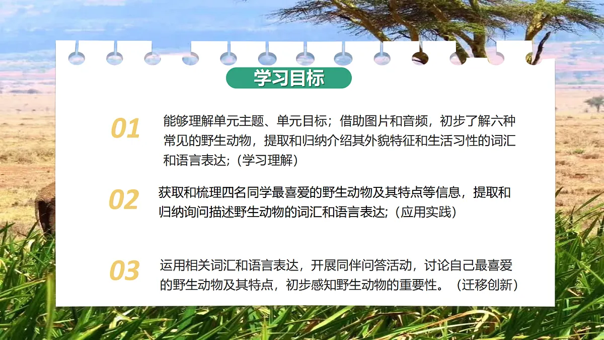 17366871第2页