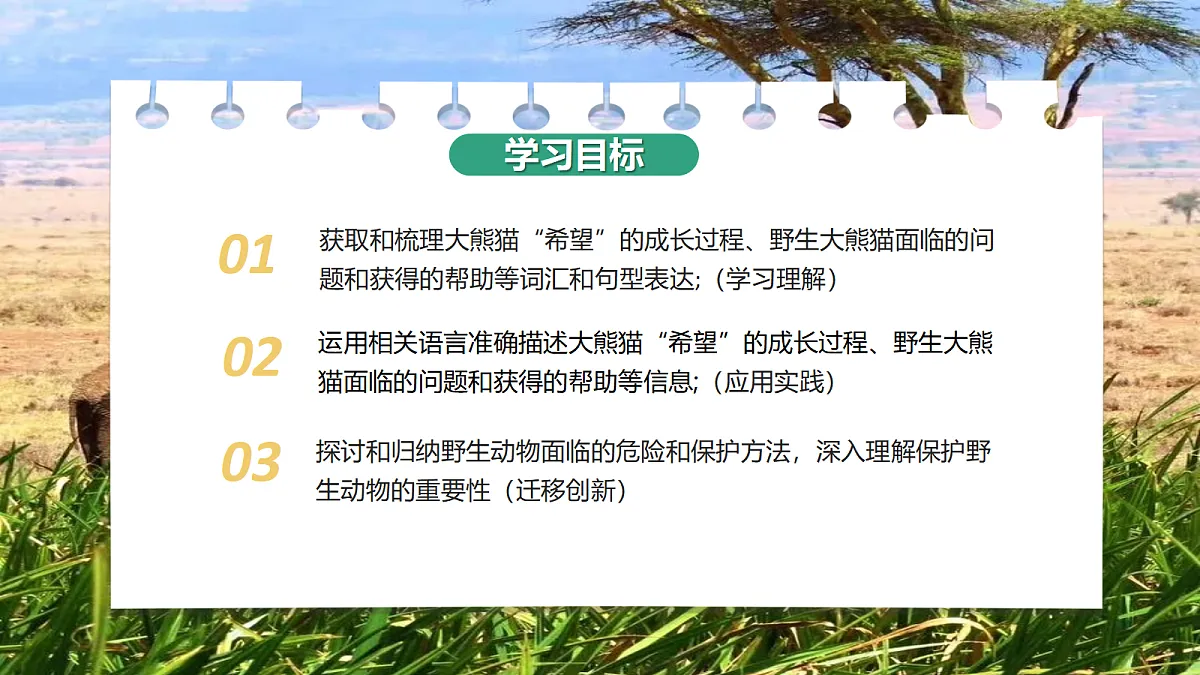 17366873第2页
