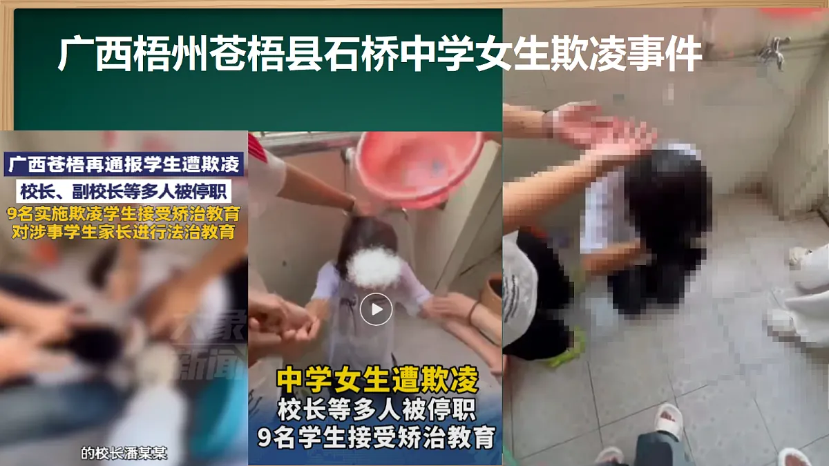 17366932第2页