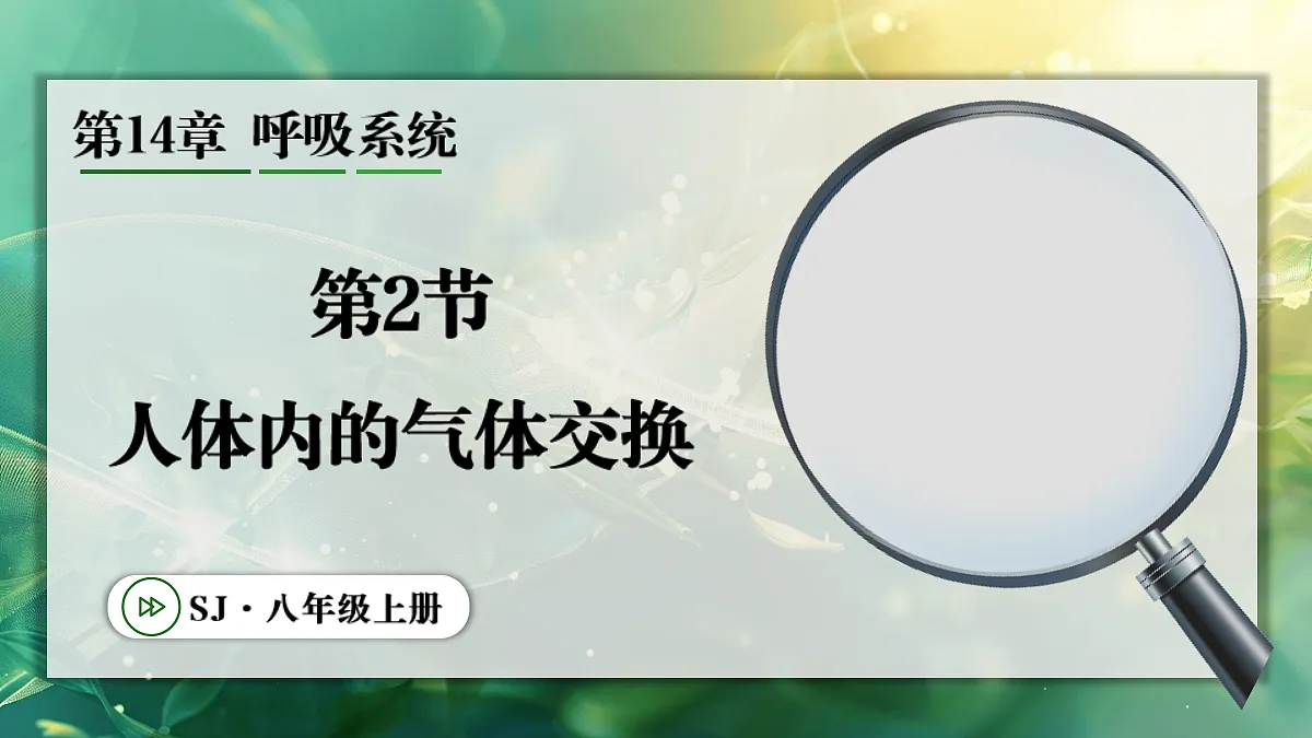 17367583第1页