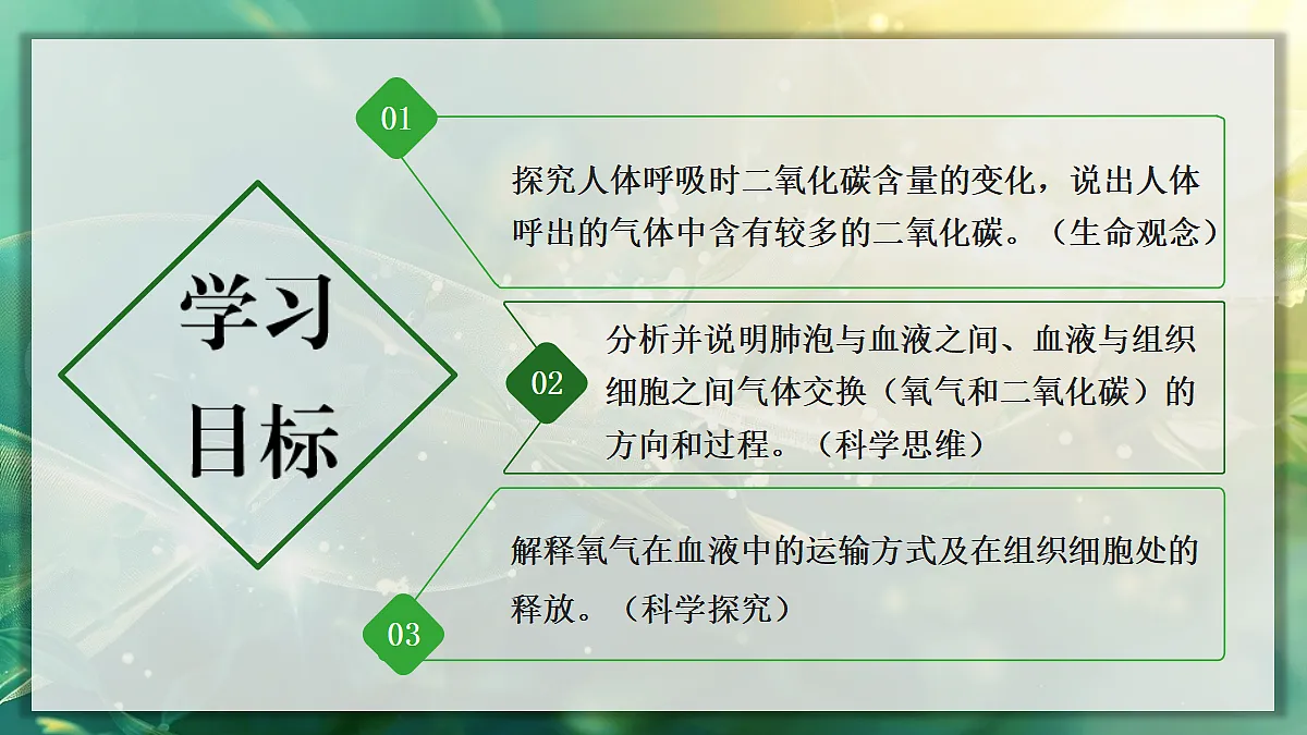 17367583第2页