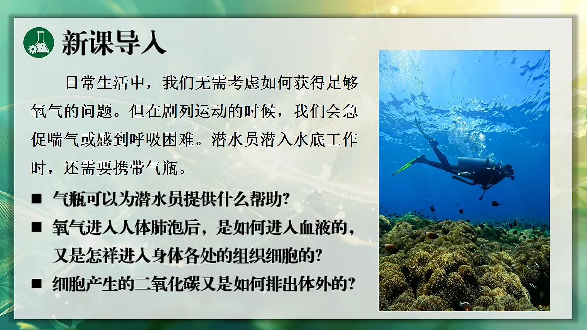 17367583第3页
