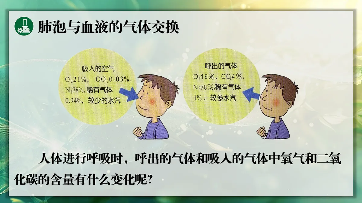 17367583第4页