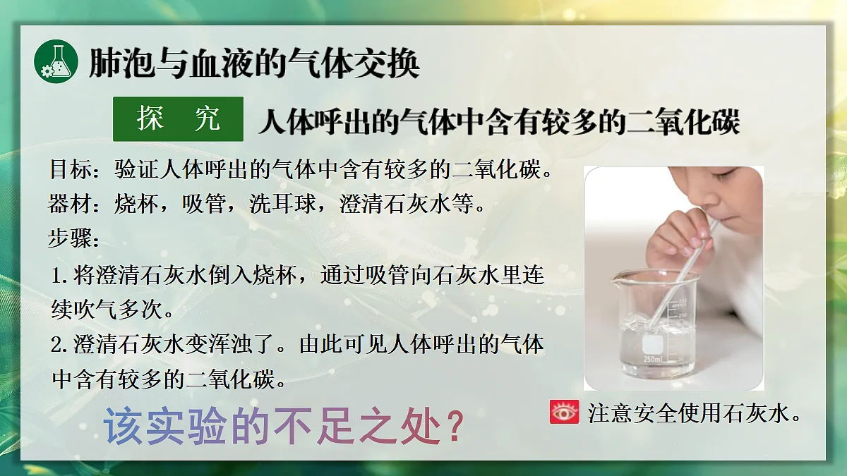 17367583第5页
