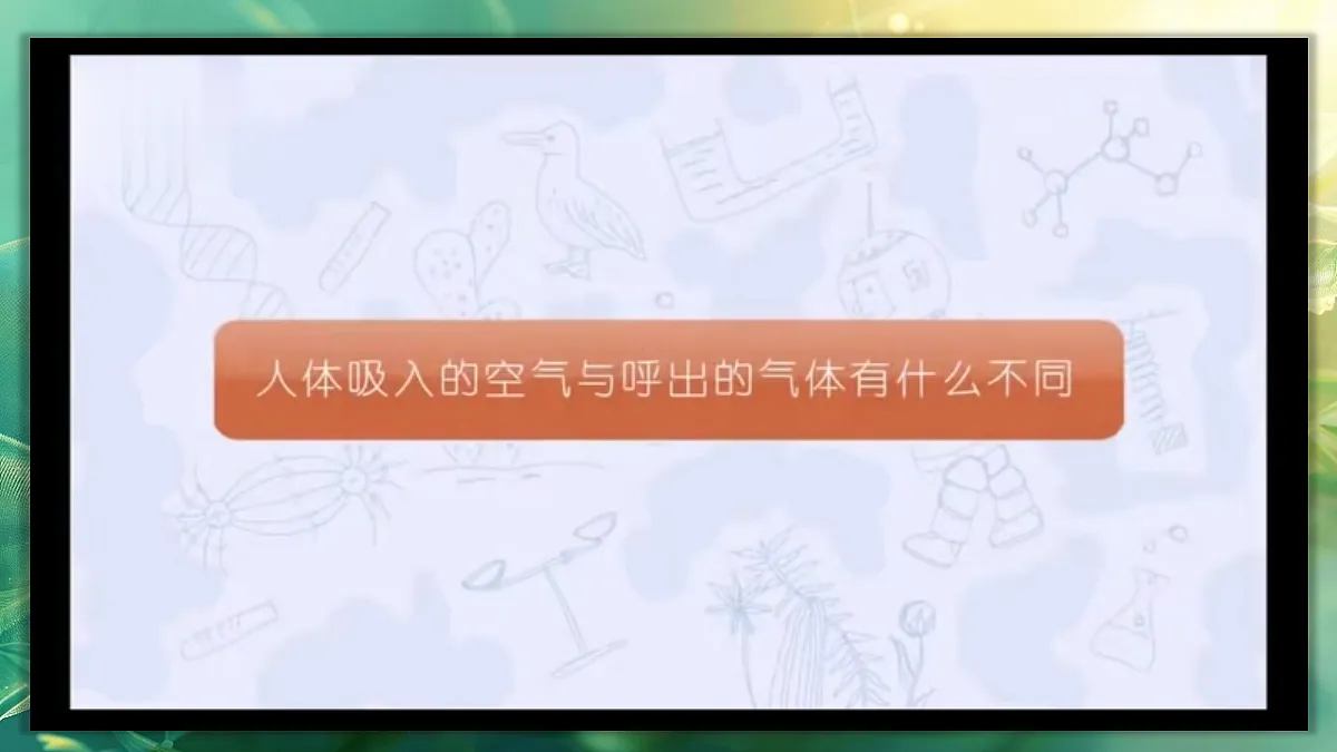 17367583第7页