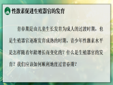 16.4 青春期发育（课件）2025-2026学年苏教版八年级生物上册