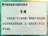 16.4 青春期发育（课件）2025-2026学年苏教版八年级生物上册
