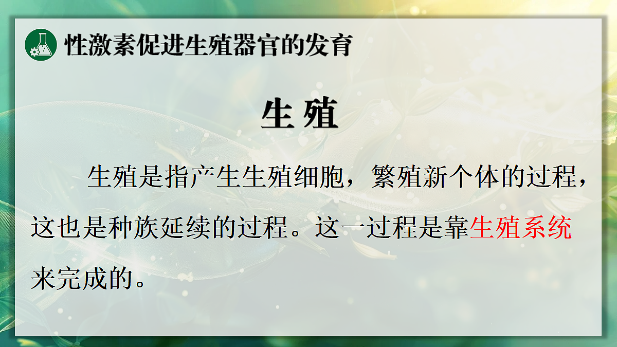 17367585第5页
