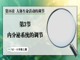 16.3 内分泌系统的调节（课件）2025-2026学年苏教版八年级生物上册