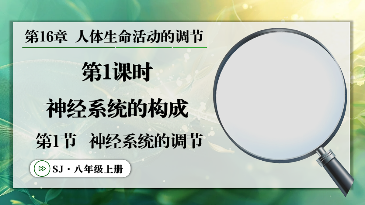 17367606第1页