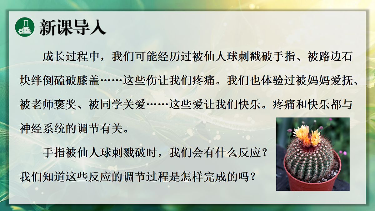 17367606第3页