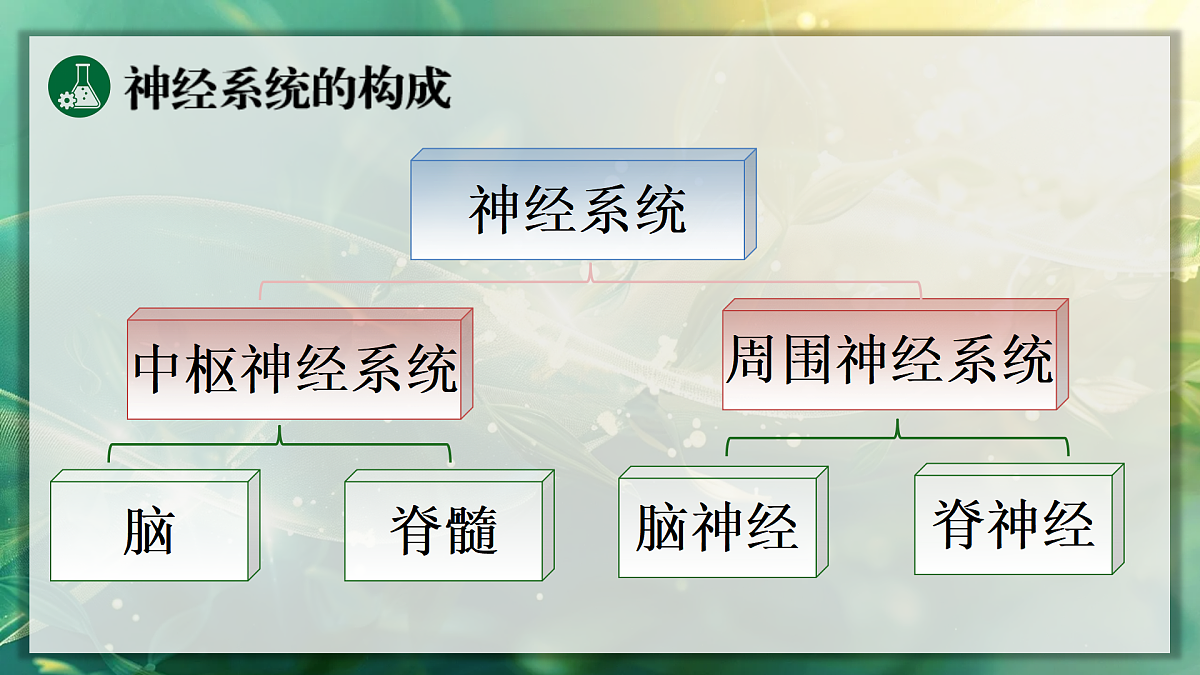 17367606第5页