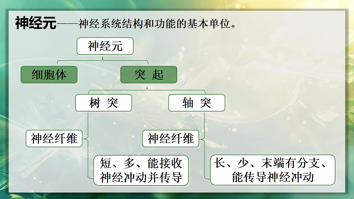 17367606第6页