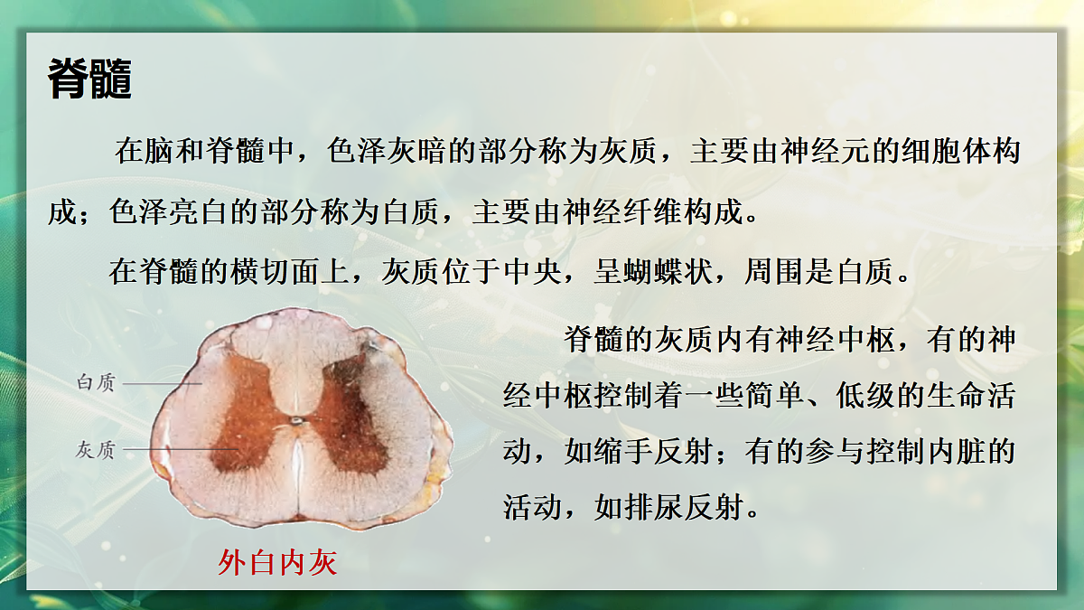 17367606第8页