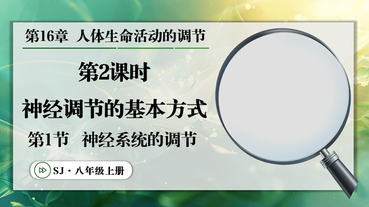 17367607第1页