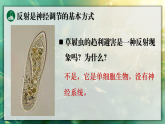16.1.2 神经调节的基本方式（课件）2025-2026学年苏教版八年级生物上册