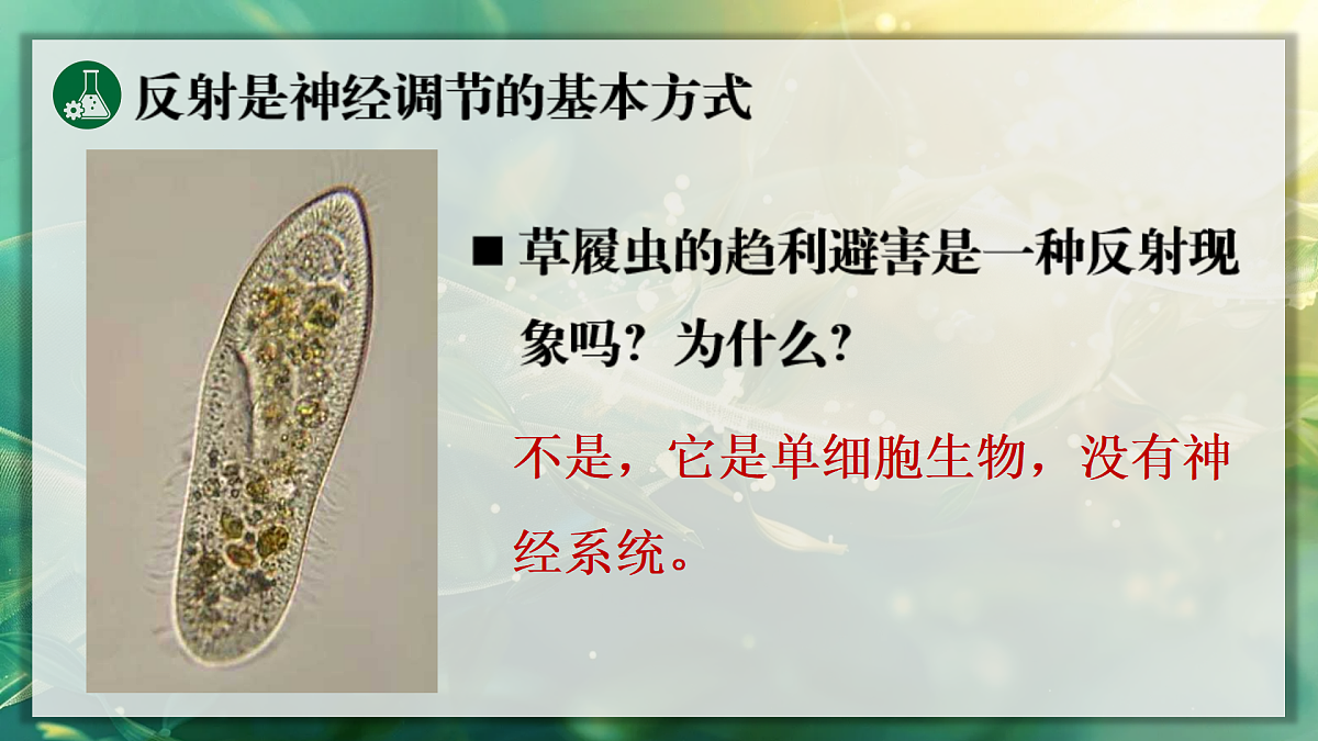 17367607第5页