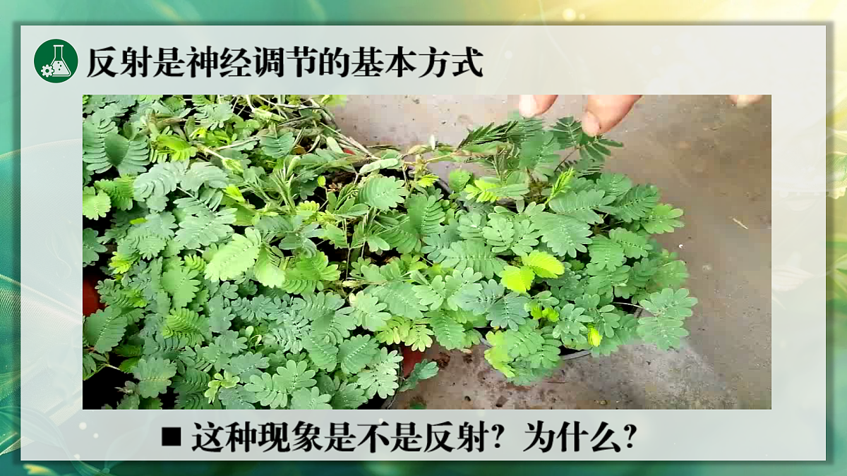 17367607第6页