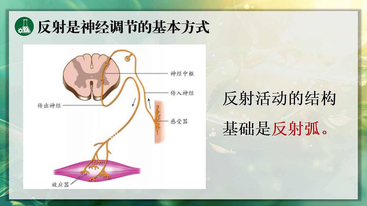 17367607第7页