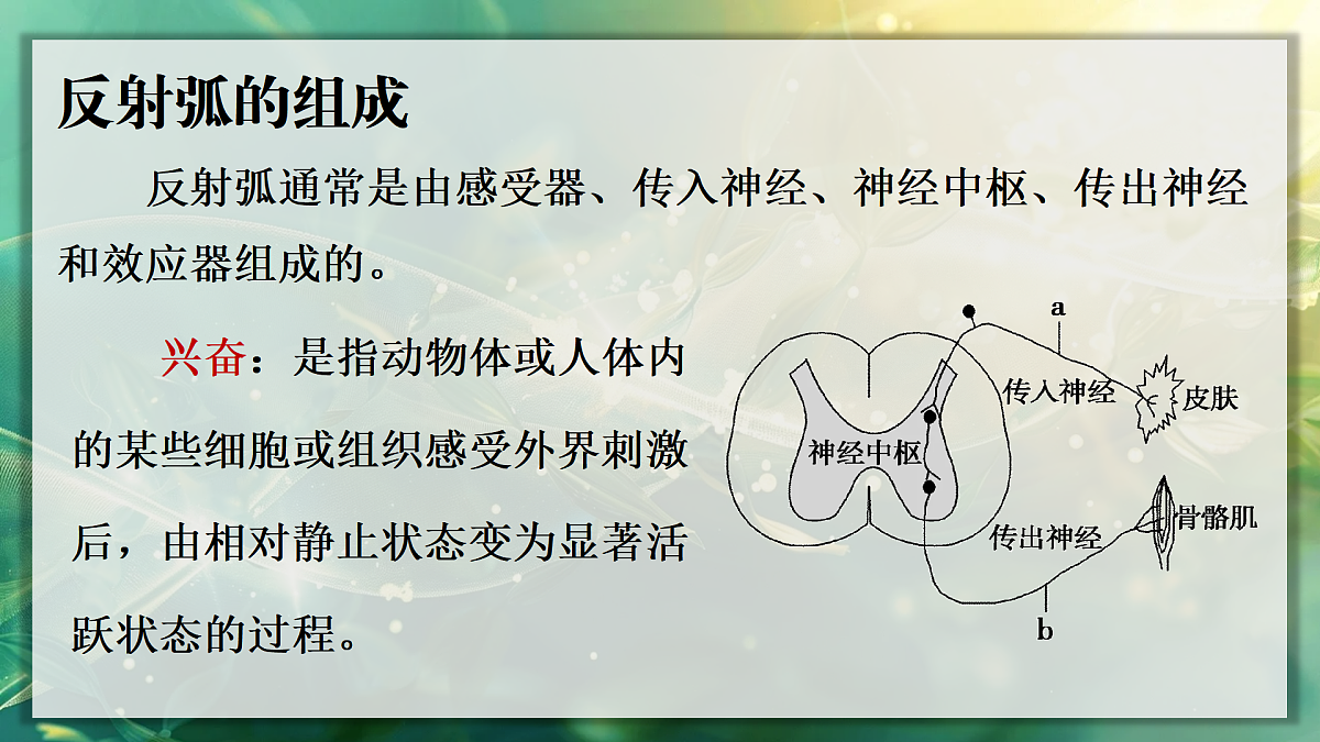 17367607第8页