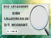 16.1.3 人体运动受神经系统支配（课件）2025-2026学年苏教版八年级生物上册