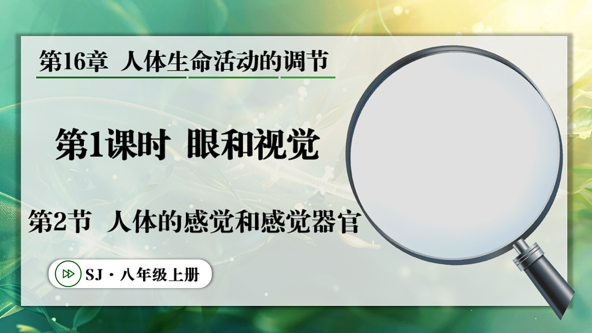 17367609第1页