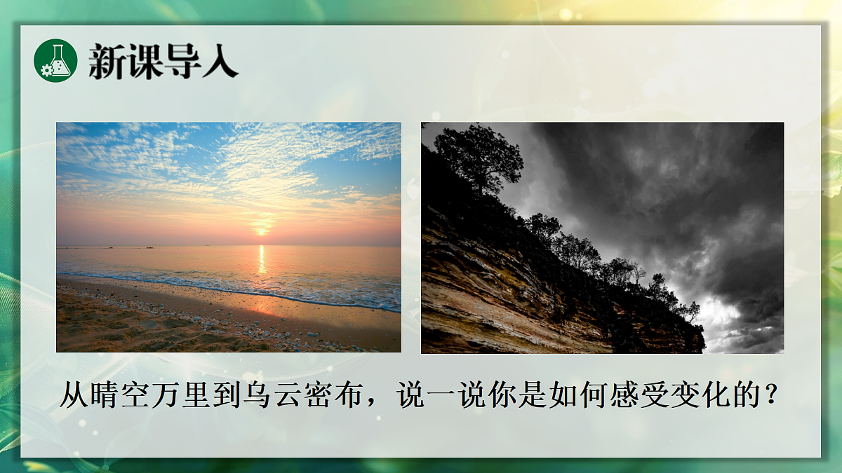 17367609第3页