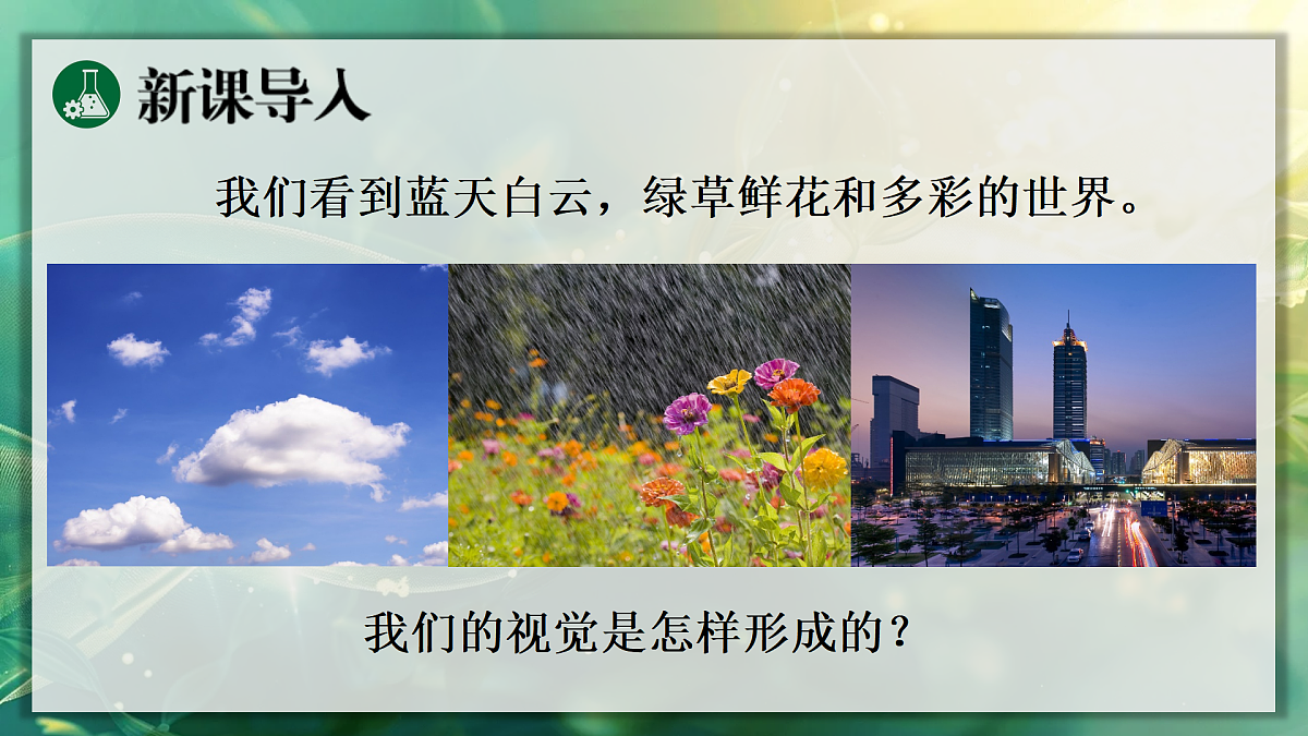 17367609第4页
