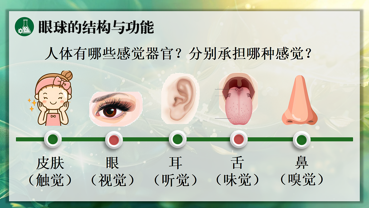 17367609第5页