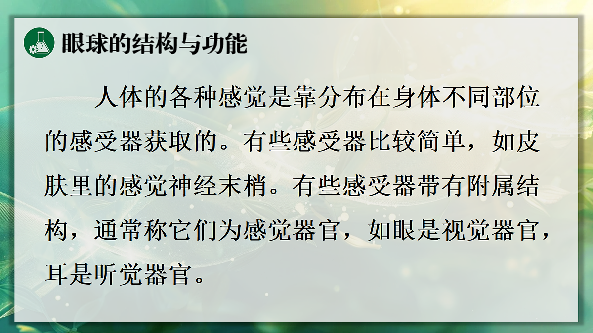 17367609第6页
